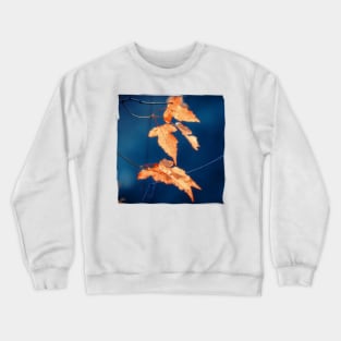 Fall Time Crewneck Sweatshirt